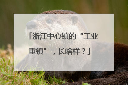 浙江中心镇的“工业重镇”，长啥样？