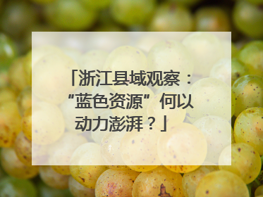 浙江县域观察：“蓝色资源”何以动力澎湃？