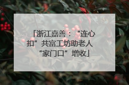 浙江嘉善：“连心扣”共富工坊助老人“家门口”增收