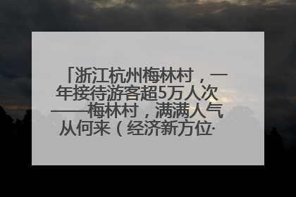 浙江杭州梅林村，一年接待游客超5万人次——梅林村，满满人气从何来（经济新方位·农村消费观察）