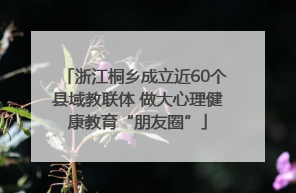 浙江桐乡成立近60个县域教联体 做大心理健康教育“朋友圈”