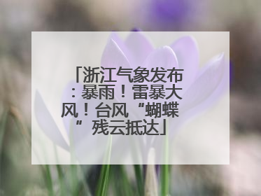 浙江气象发布：暴雨！雷暴大风！台风“蝴蝶”残云抵达