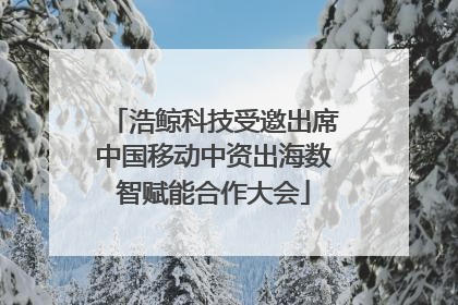 浩鲸科技受邀出席中国移动中资出海数智赋能合作大会