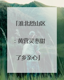 淮北烈山区：黄营灵枣甜了乡亲心