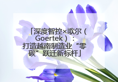 深度智控×歌尔（Goertek）：打造越南制造业“零碳”跃迁新标杆