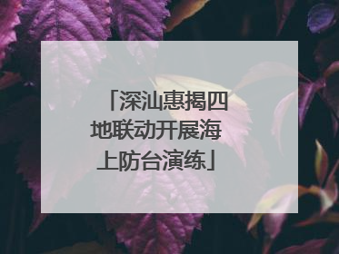 深汕惠揭四地联动开展海上防台演练