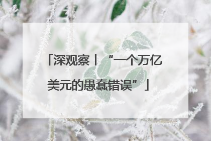 深观察丨“一个万亿美元的愚蠢错误”