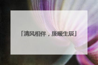 清风相伴，廉暖生辰