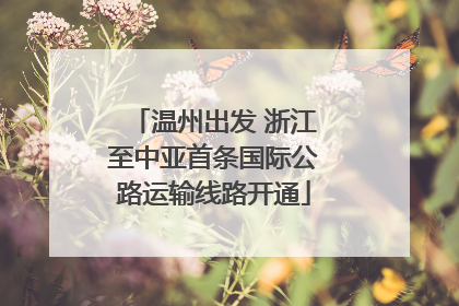 温州出发 浙江至中亚首条国际公路运输线路开通