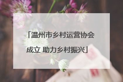 温州市乡村运营协会成立 助力乡村振兴