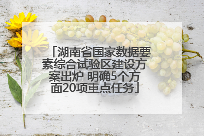 湖南省国家数据要素综合试验区建设方案出炉 明确5个方面20项重点任务