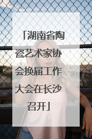 湖南省陶瓷艺术家协会换届工作大会在长沙召开