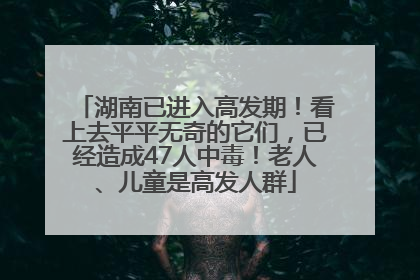 湖南已进入高发期！看上去平平无奇的它们，已经造成47人中毒！老人、儿童是高发人群