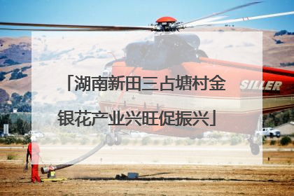 湖南新田三占塘村金银花产业兴旺促振兴