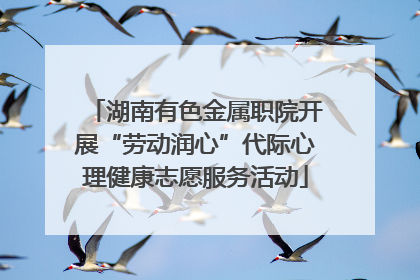 湖南有色金属职院开展“劳动润心”代际心理健康志愿服务活动