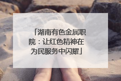 湖南有色金属职院：让红色精神在为民服务中闪耀