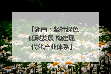 湖南：坚持绿色低碳发展 构建现代化产业体系