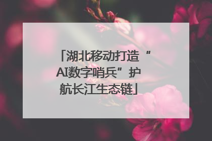 湖北移动打造“AI数字哨兵”护航长江生态链