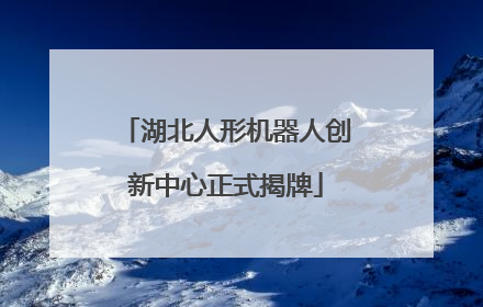湖北人形机器人创新中心正式揭牌