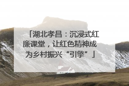 湖北孝昌：沉浸式红廉课堂，让红色精神成为乡村振兴“引擎”