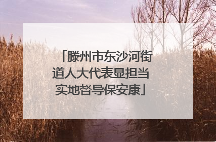 滕州市东沙河街道人大代表显担当实地督导保安康