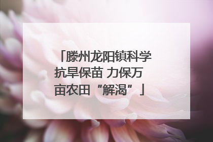 滕州龙阳镇科学抗旱保苗 力保万亩农田“解渴”