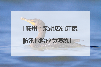 滕州：柴胡店镇开展防汛抢险应急演练