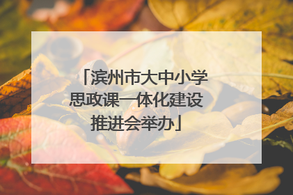 滨州市大中小学思政课一体化建设推进会举办