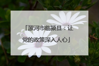 漯河市临颍县：让党的政策深入人心