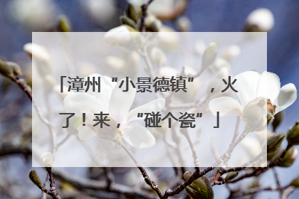 漳州“小景德镇”，火了！来，“碰个瓷”
