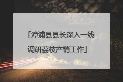 漳浦县县长深入一线调研荔枝产销工作