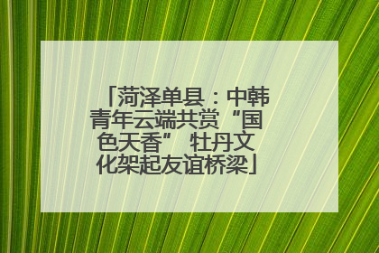 菏泽单县：中韩青年云端共赏“国色天香” 牡丹文化架起友谊桥梁