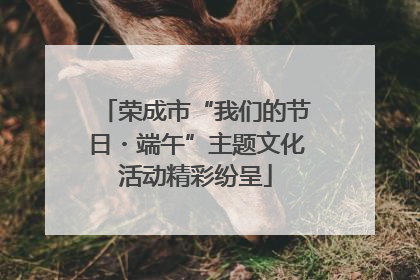 荣成市“我们的节日・端午”主题文化活动精彩纷呈