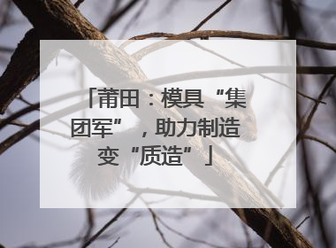 莆田：模具“集团军”，助力制造变“质造”