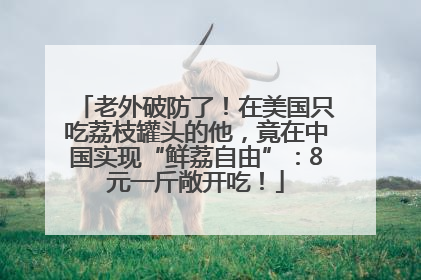 老外破防了！在美国只吃荔枝罐头的他，竟在中国实现“鲜荔自由”：8元一斤敞开吃！