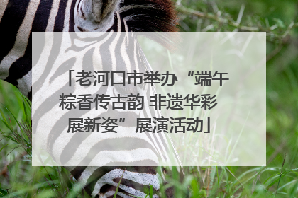 老河口市举办“端午粽香传古韵 非遗华彩展新姿”展演活动