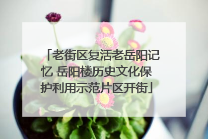 老街区复活老岳阳记忆 岳阳楼历史文化保护利用示范片区开街