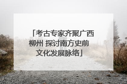考古专家齐聚广西柳州 探讨南方史前文化发展脉络