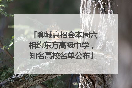 聊城高招会本周六相约东方高级中学，知名高校名单公布