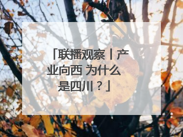 联播观察丨产业向西 为什么是四川？