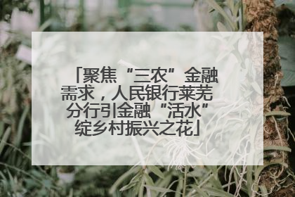 聚焦“三农”金融需求，人民银行莱芜分行引金融“活水”绽乡村振兴之花
