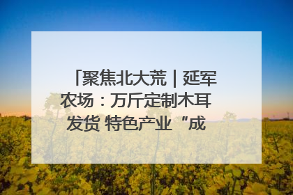 聚焦北大荒｜延军农场：万斤定制木耳发货 特色产业“成绩单”亮眼