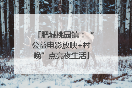肥城桃园镇：“公益电影放映+村晚”点亮夜生活