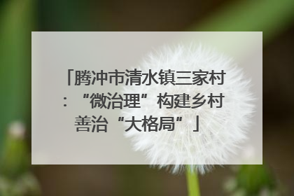 腾冲市清水镇三家村：“微治理”构建乡村善治“大格局”