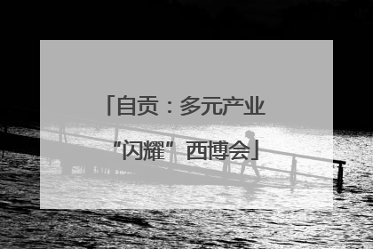 自贡：多元产业“闪耀”西博会