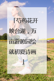 芍药花开映台湖，万亩游憩园绘就初夏诗画