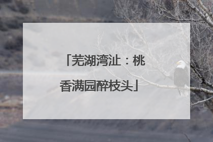 芜湖湾沚：桃香满园醉枝头