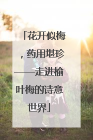 花开似梅，药用堪珍——走进榆叶梅的诗意世界