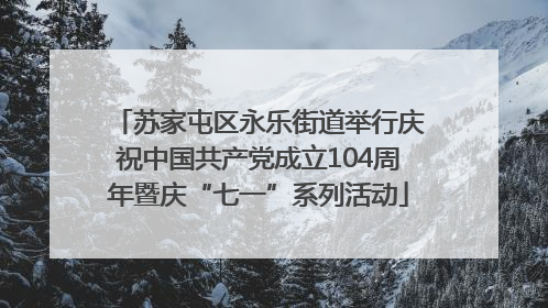 苏家屯区永乐街道举行庆祝中国共产党成立104周年暨庆“七一”系列活动