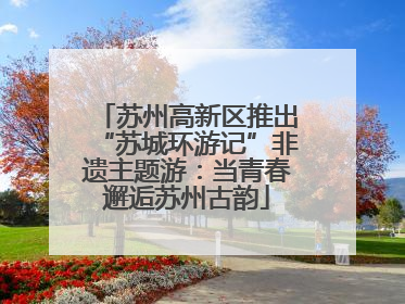 苏州高新区推出“苏城环游记”非遗主题游：当青春邂逅苏州古韵